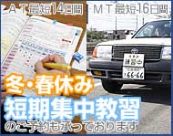 夏休み短期集中教習