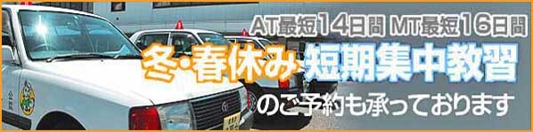 夏休み短期集中教習